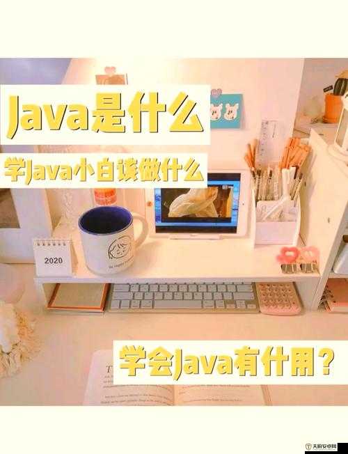 JAVAPARSER 丰满白老师教你编程秘籍：从入门到精通